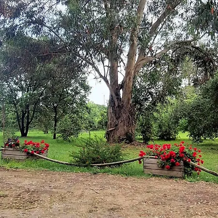 Hotel Valledoro Cervione